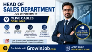 Head of Sales Department Job at Olive Cables in Delhi India for experienced sales leaders